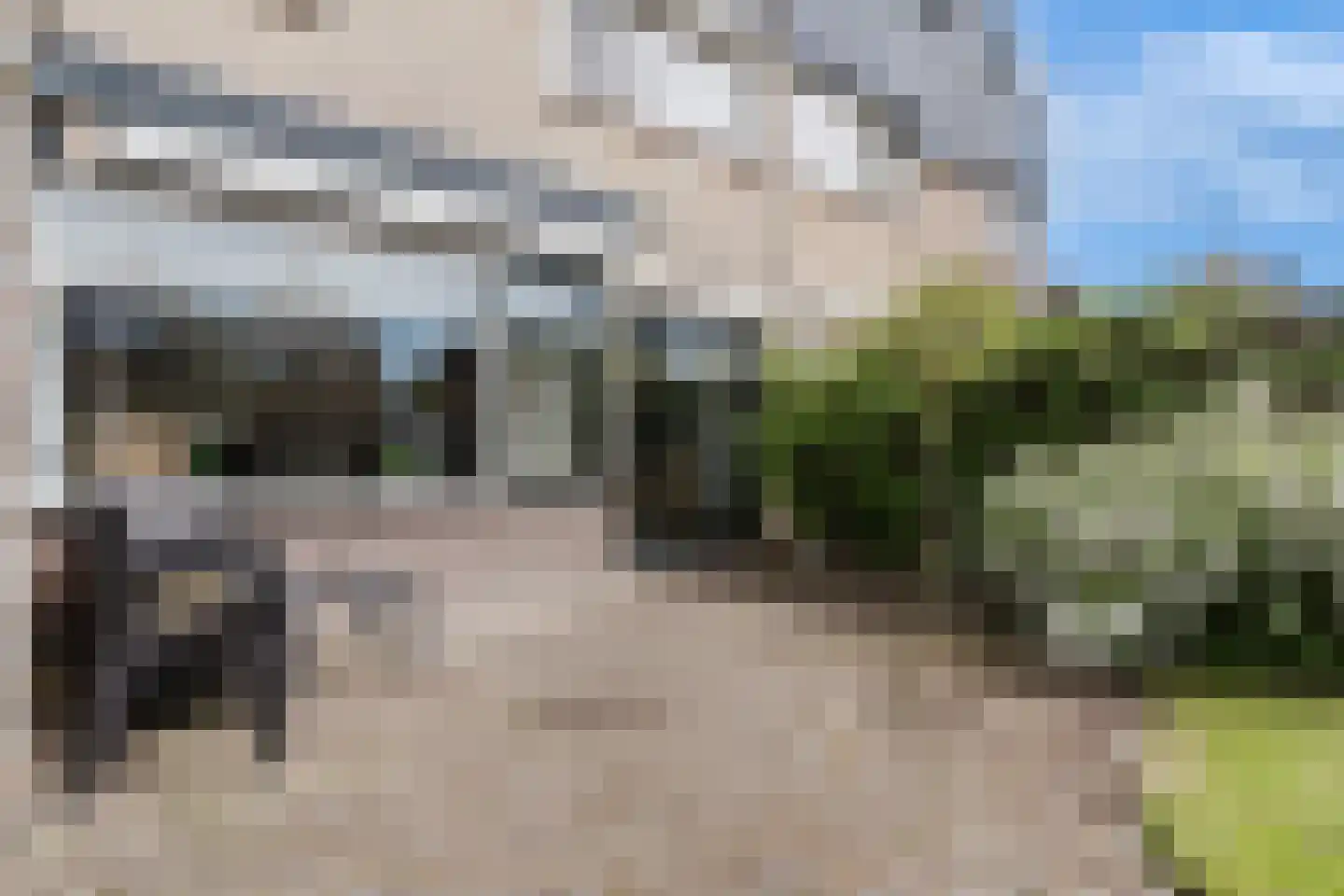 Eendenkooi 3 Heerenveen thumbnail 26