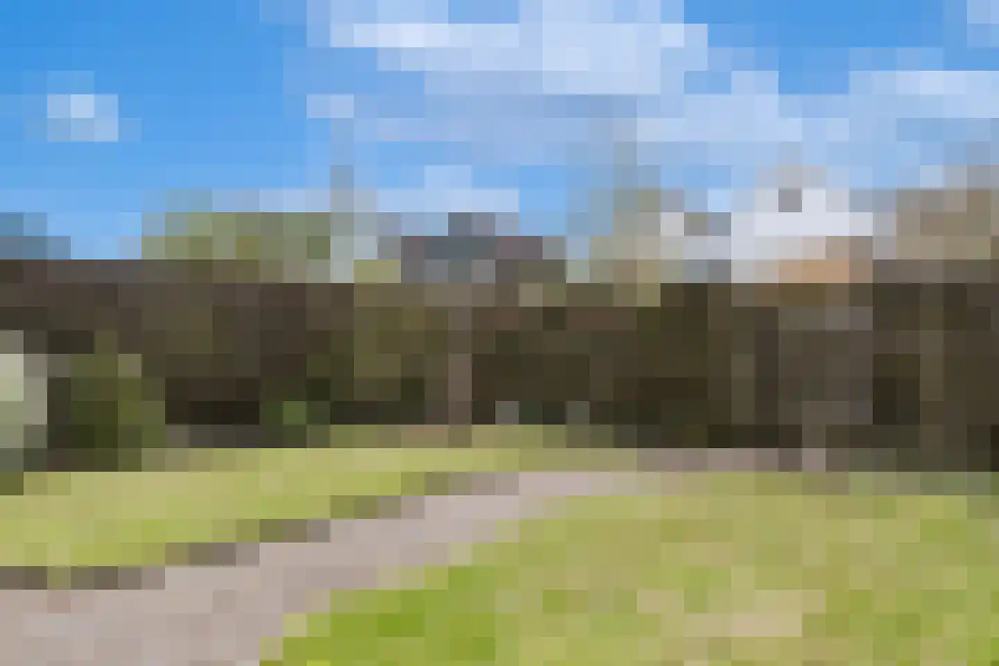Eendenkooi 3 Heerenveen thumbnail 27