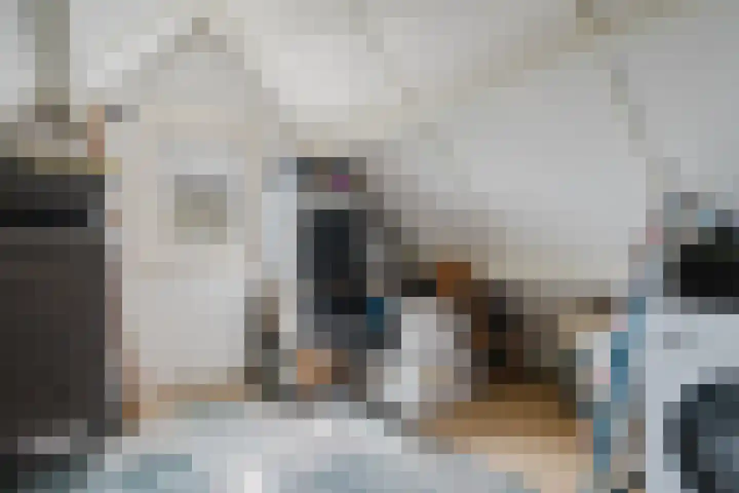 Eendenkooi 3 Heerenveen thumbnail 31