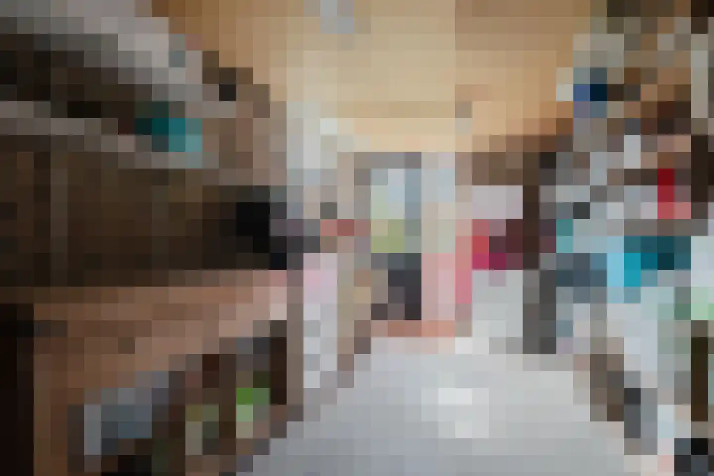 Eendenkooi 3 Heerenveen thumbnail 35