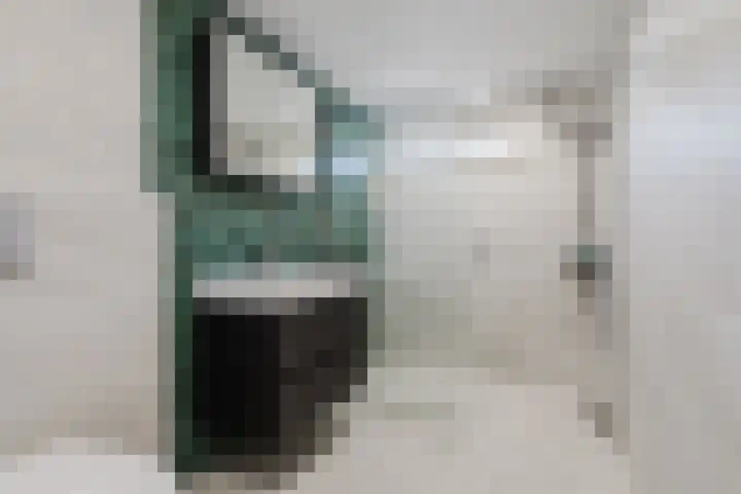 Eendenkooi 3 Heerenveen thumbnail 4