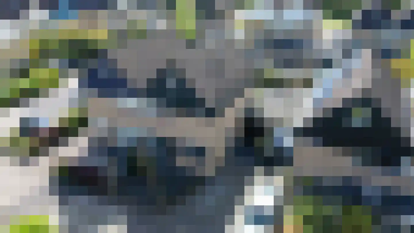 Eendenkooi 3 Heerenveen thumbnail 5