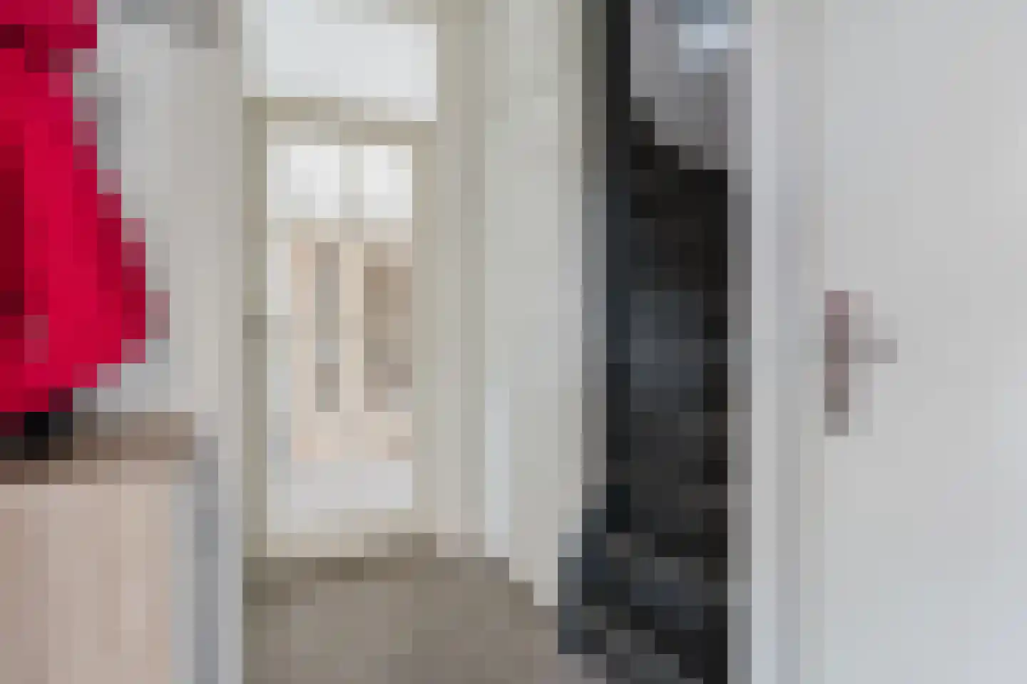 Eendenkooi 3 Heerenveen thumbnail 7