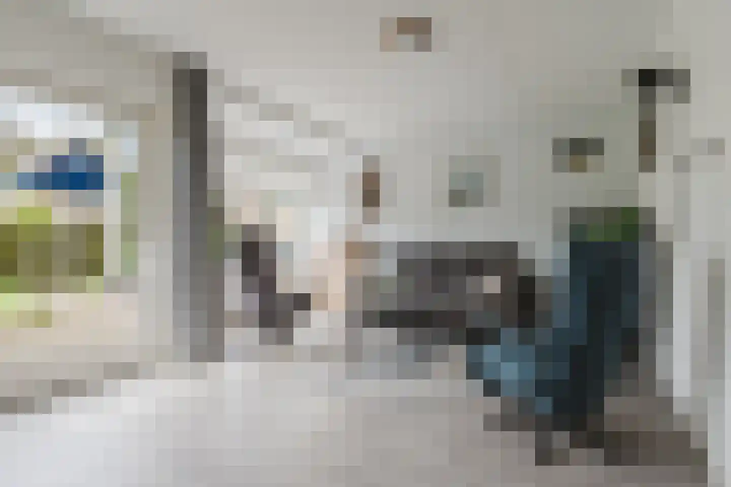 Eendenkooi 3 Heerenveen thumbnail 9