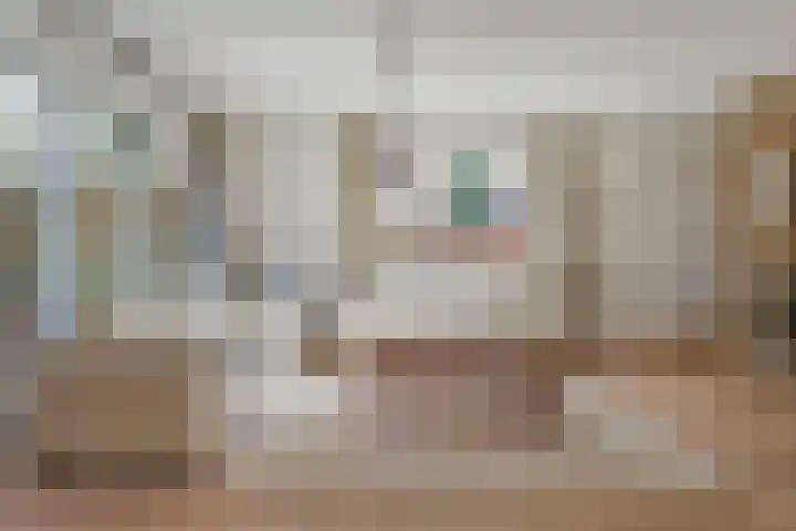 Eendenkooi 30 Heerenveen thumbnail 10