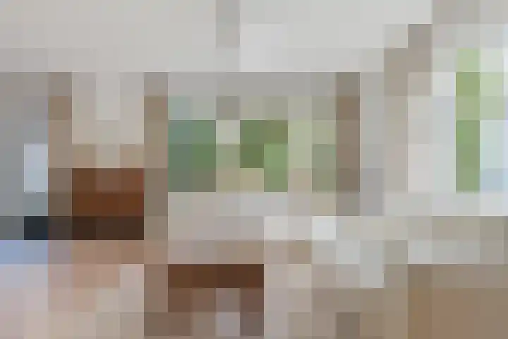Eendenkooi 30 Heerenveen thumbnail 11