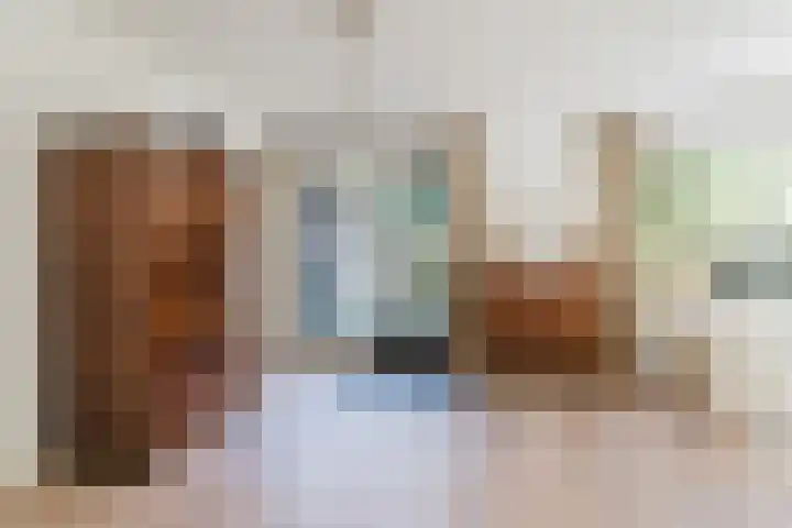 Eendenkooi 30 Heerenveen thumbnail 12