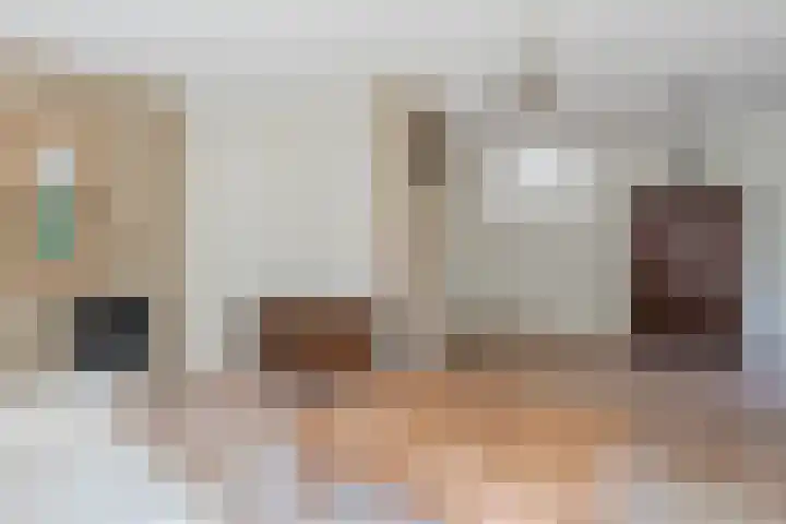 Eendenkooi 30 Heerenveen thumbnail 13
