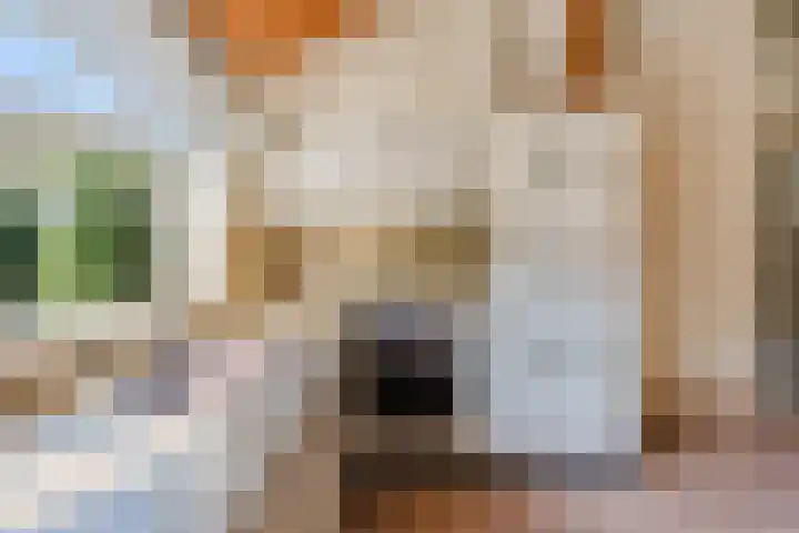 Eendenkooi 30 Heerenveen thumbnail 17