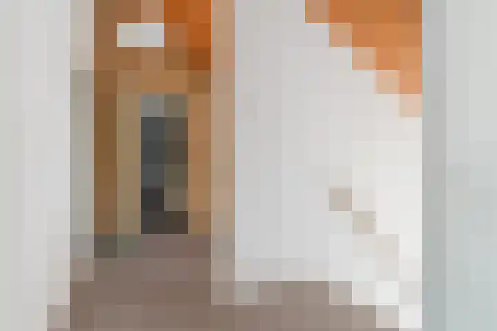 Eendenkooi 30 Heerenveen thumbnail 22