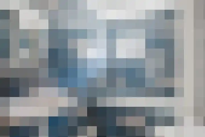 Eendenkooi 30 Heerenveen thumbnail 23