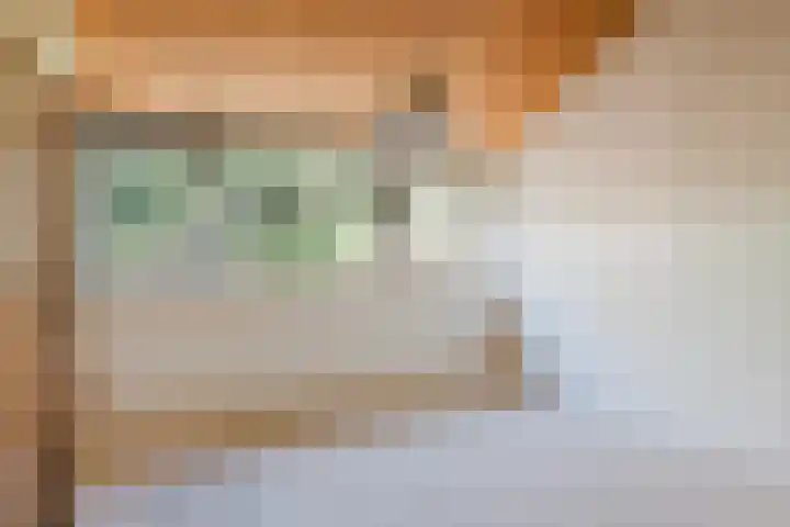 Eendenkooi 30 Heerenveen thumbnail 24