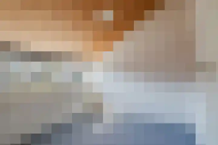 Eendenkooi 30 Heerenveen thumbnail 29