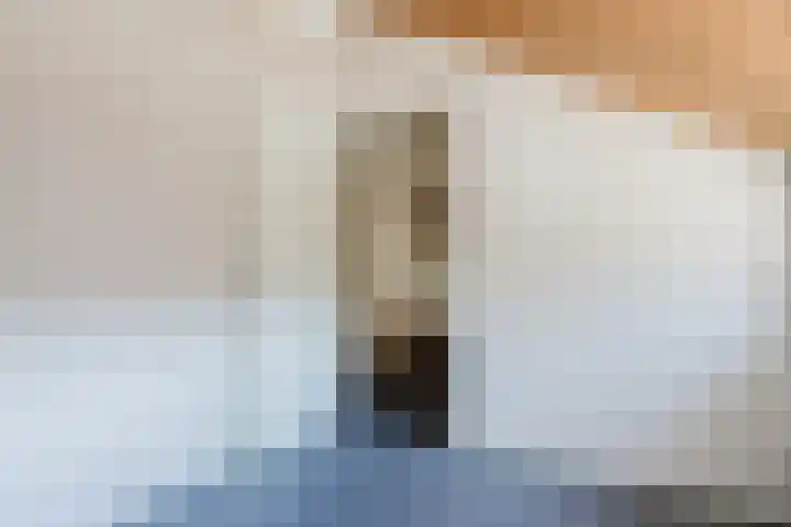 Eendenkooi 30 Heerenveen thumbnail 30