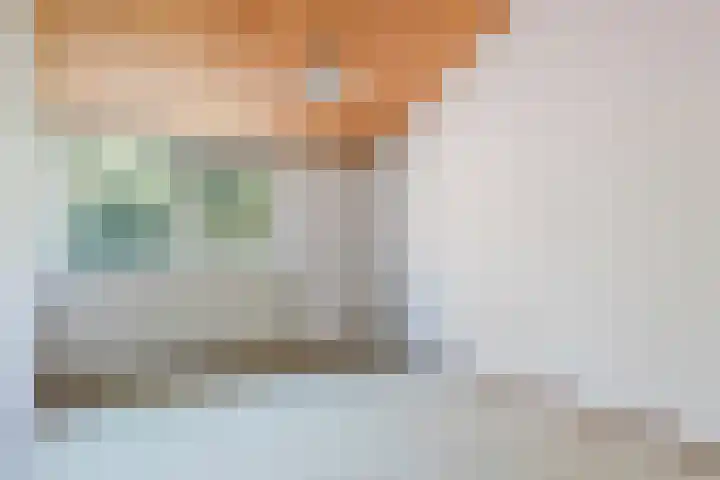 Eendenkooi 30 Heerenveen thumbnail 31