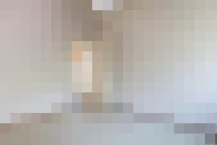 Eendenkooi 30 Heerenveen thumbnail 32