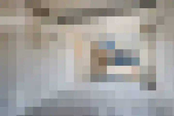Eendenkooi 30 Heerenveen thumbnail 33