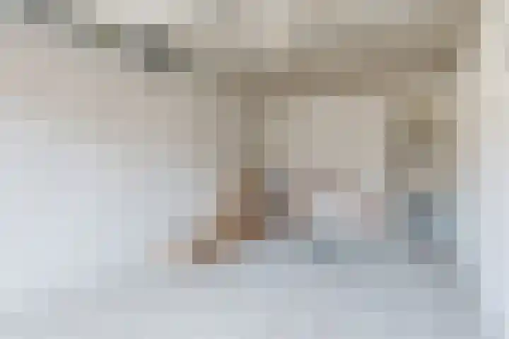 Eendenkooi 30 Heerenveen thumbnail 34