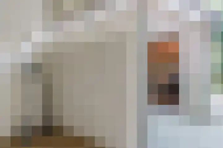 Eendenkooi 30 Heerenveen thumbnail 35