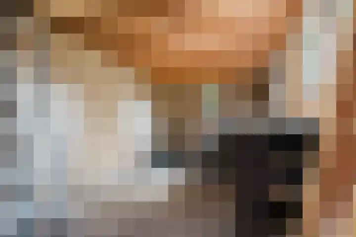 Eendenkooi 30 Heerenveen thumbnail 36