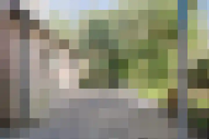 Eendenkooi 30 Heerenveen thumbnail 37