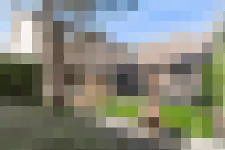 Eendenkooi 30 Heerenveen thumbnail 39