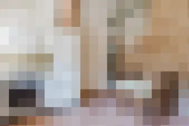 Eendenkooi 30 Heerenveen thumbnail 4