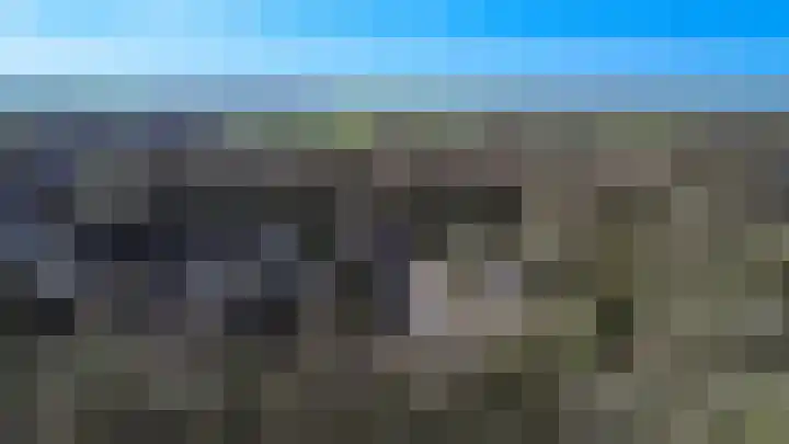 Eendenkooi 30 Heerenveen thumbnail 40