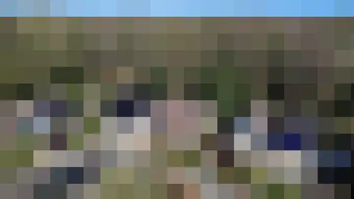 Eendenkooi 30 Heerenveen thumbnail 5