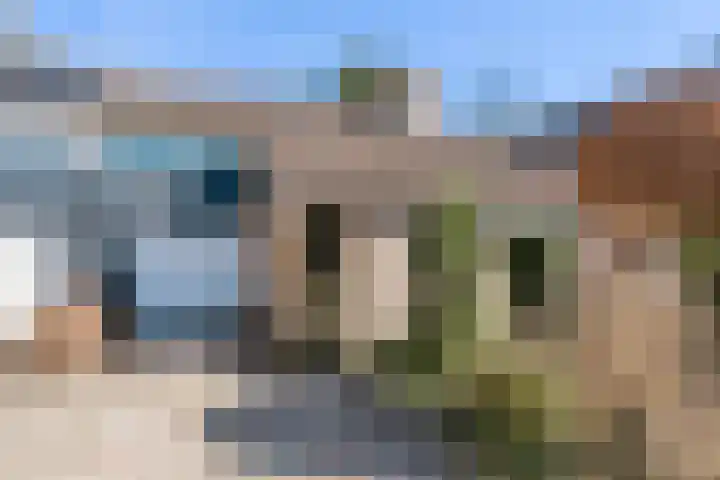 Eendenkooi 30 Heerenveen thumbnail 6