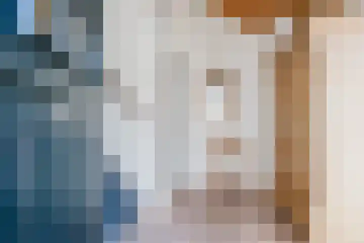 Eendenkooi 30 Heerenveen thumbnail 7