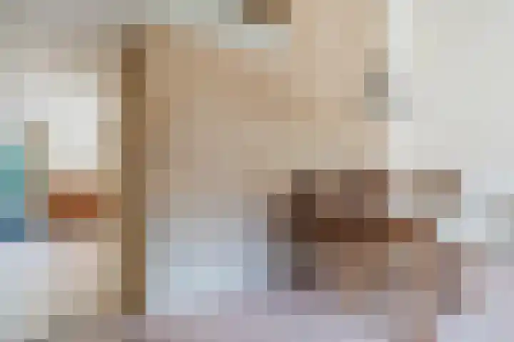 Eendenkooi 30 Heerenveen thumbnail 8