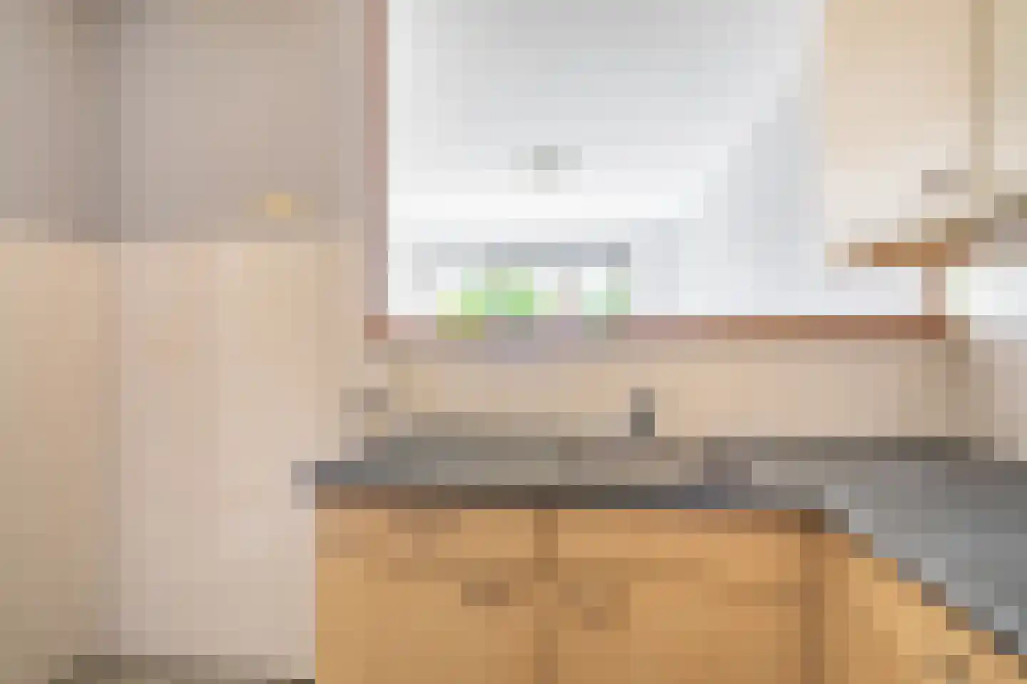 Eendenkooi 5 Delfzijl thumbnail 10