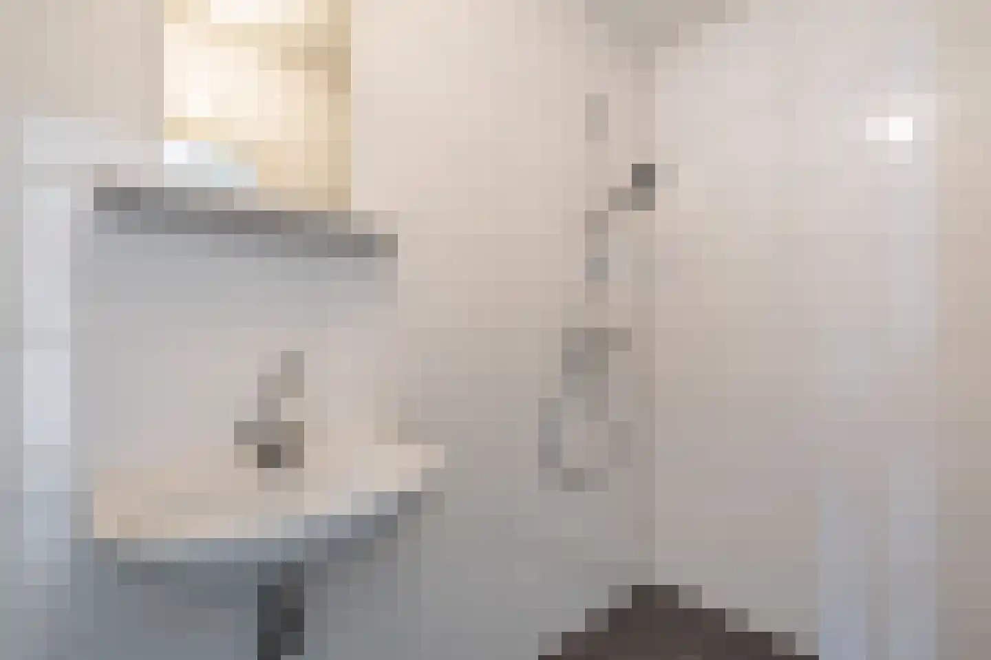 Eendenkooi 5 Delfzijl thumbnail 17