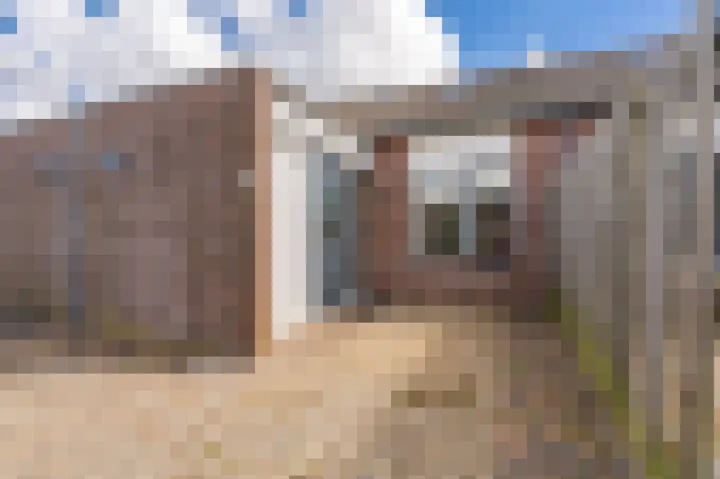 Eendenkooi 5 Delfzijl thumbnail 19