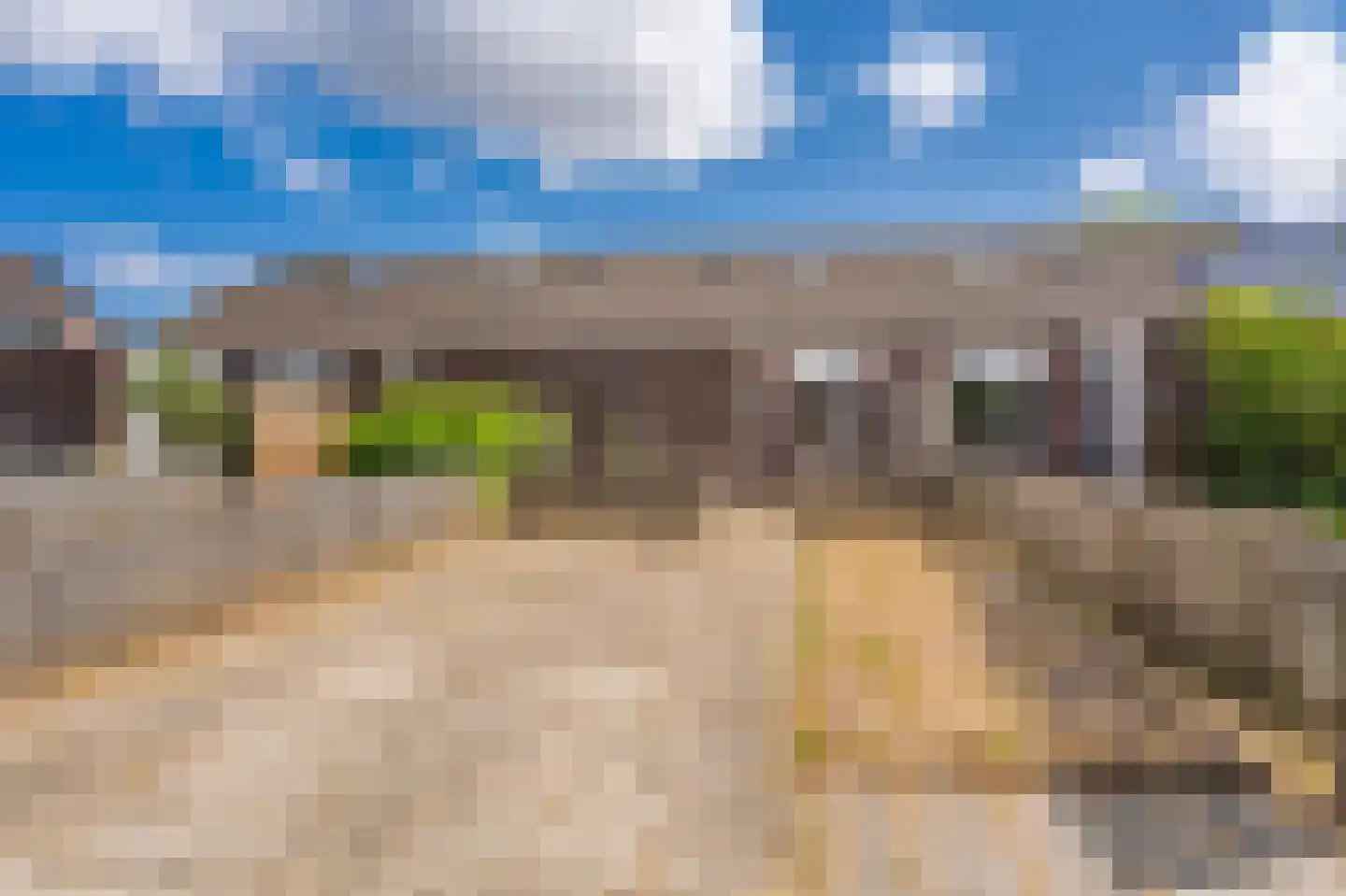 Eendenkooi 5 Delfzijl thumbnail 20