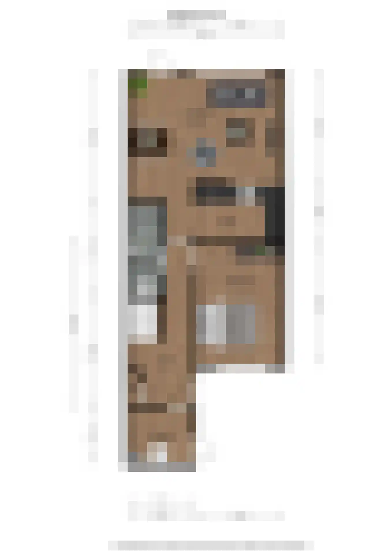 Eendenkooi 5 Delfzijl thumbnail 23