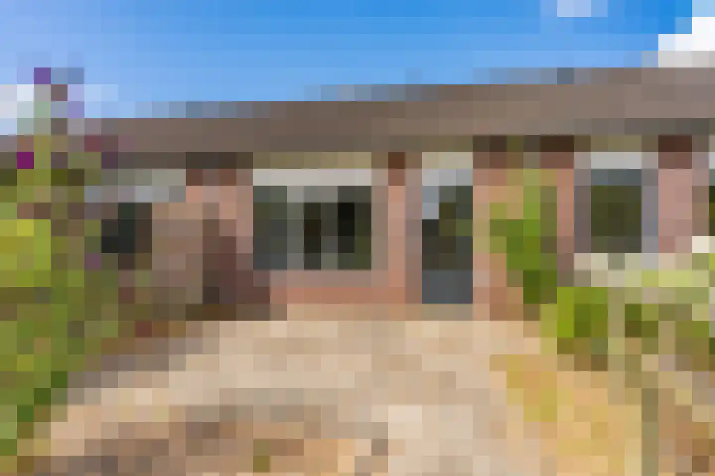 Eendenkooi 5 Delfzijl thumbnail 5
