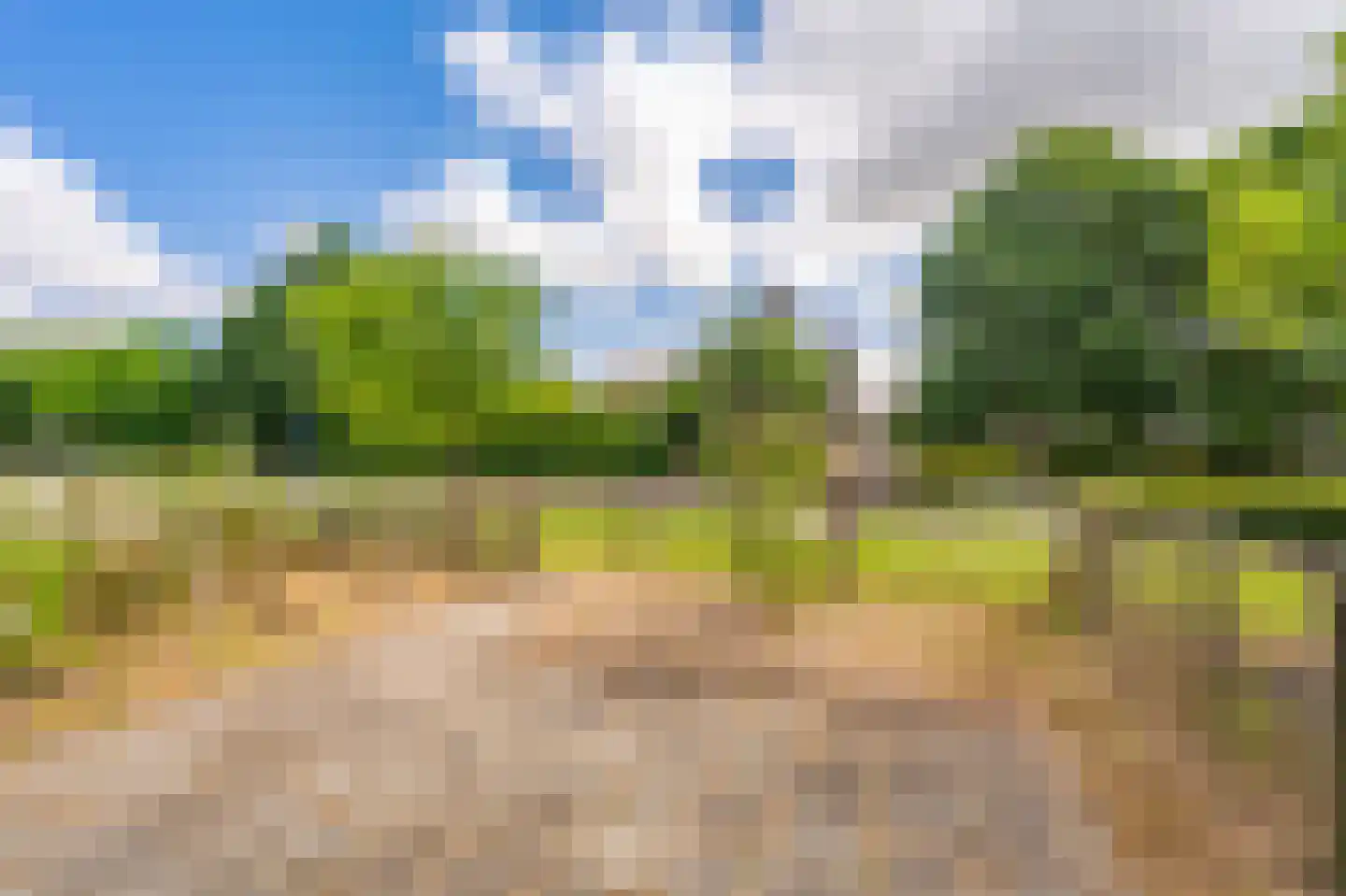 Eendenkooi 5 Delfzijl thumbnail 6