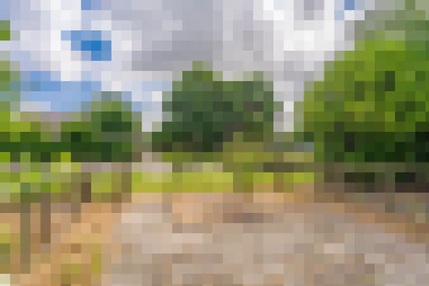 Eendenkooi 5 Delfzijl thumbnail 7