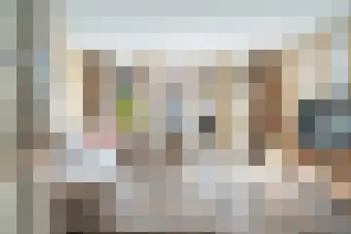 Eendenkooi 79 Alphen aan den Rijn thumbnail 15