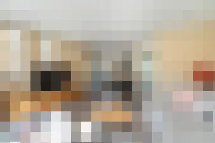 Eendenkooi 79 Alphen aan den Rijn thumbnail 17