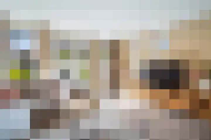 Eendenkooi 79 Alphen aan den Rijn thumbnail 19