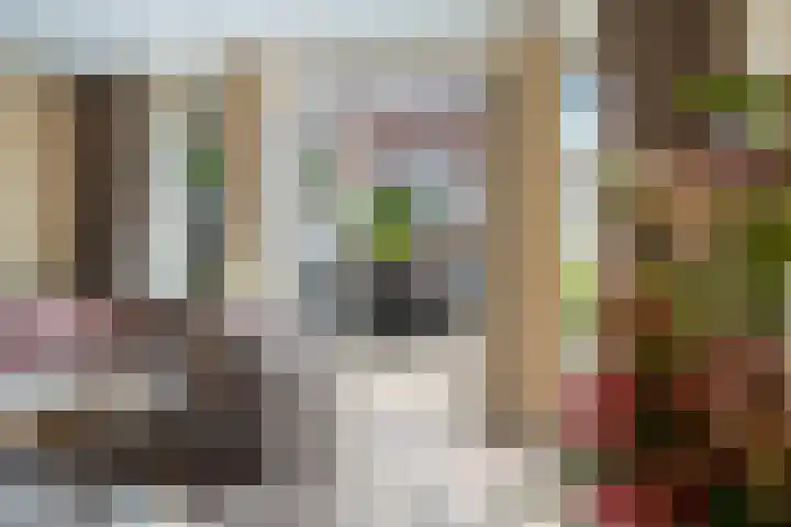 Eendenkooi 79 Alphen aan den Rijn thumbnail 21