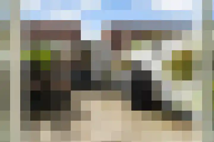 Eendenkooi 79 Alphen aan den Rijn thumbnail 22