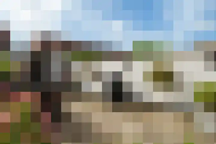 Eendenkooi 79 Alphen aan den Rijn thumbnail 23