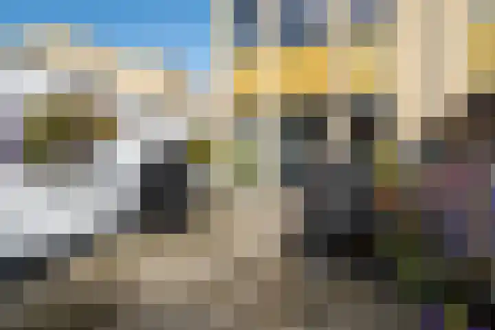Eendenkooi 79 Alphen aan den Rijn thumbnail 25