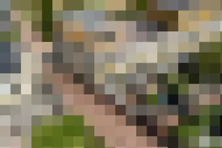 Eendenkooi 79 Alphen aan den Rijn thumbnail 26