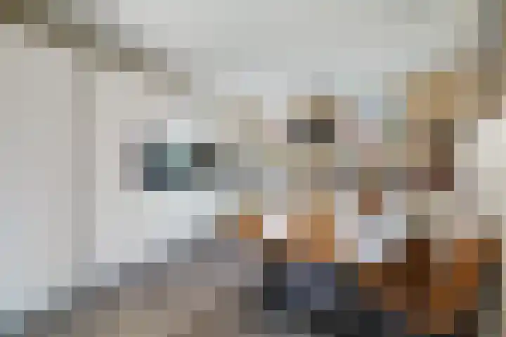 Eendenkooi 79 Alphen aan den Rijn thumbnail 28