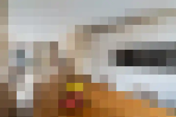 Eendenkooi 79 Alphen aan den Rijn thumbnail 32